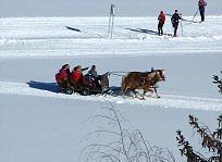 Post Hotel Ramsau am Dachstein Luaran gambar