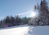 Post Hotel Ramsau am Dachstein Luaran gambar